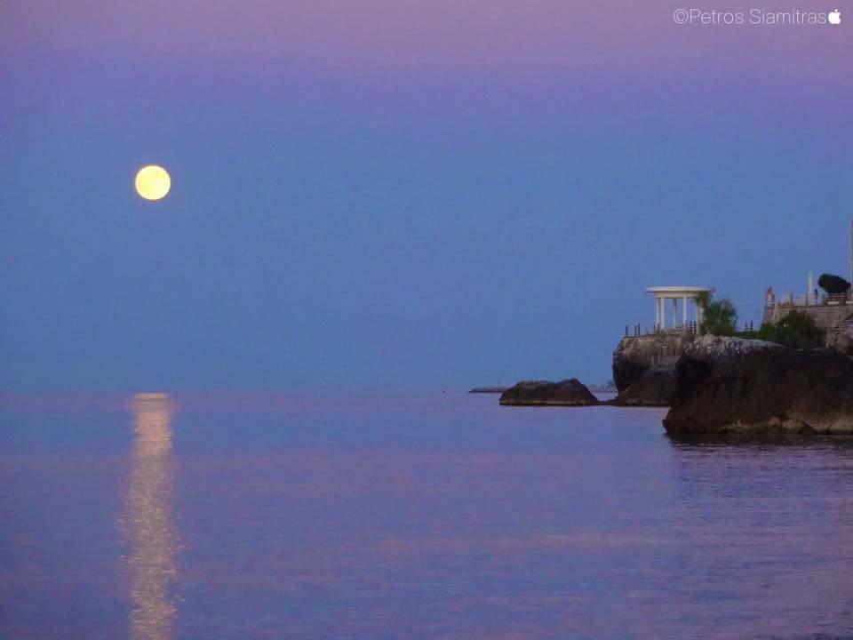 Alexandros Hotel Leptokarya  Dış mekan fotoğraf